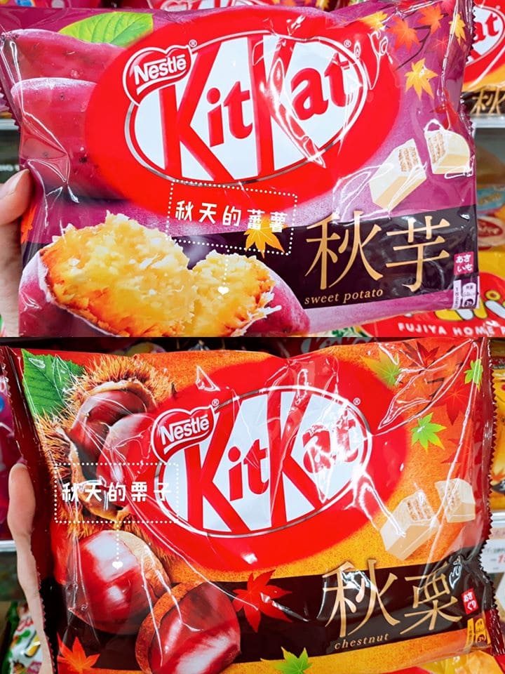 70633255_2260726877572512_7328483777833861120_o