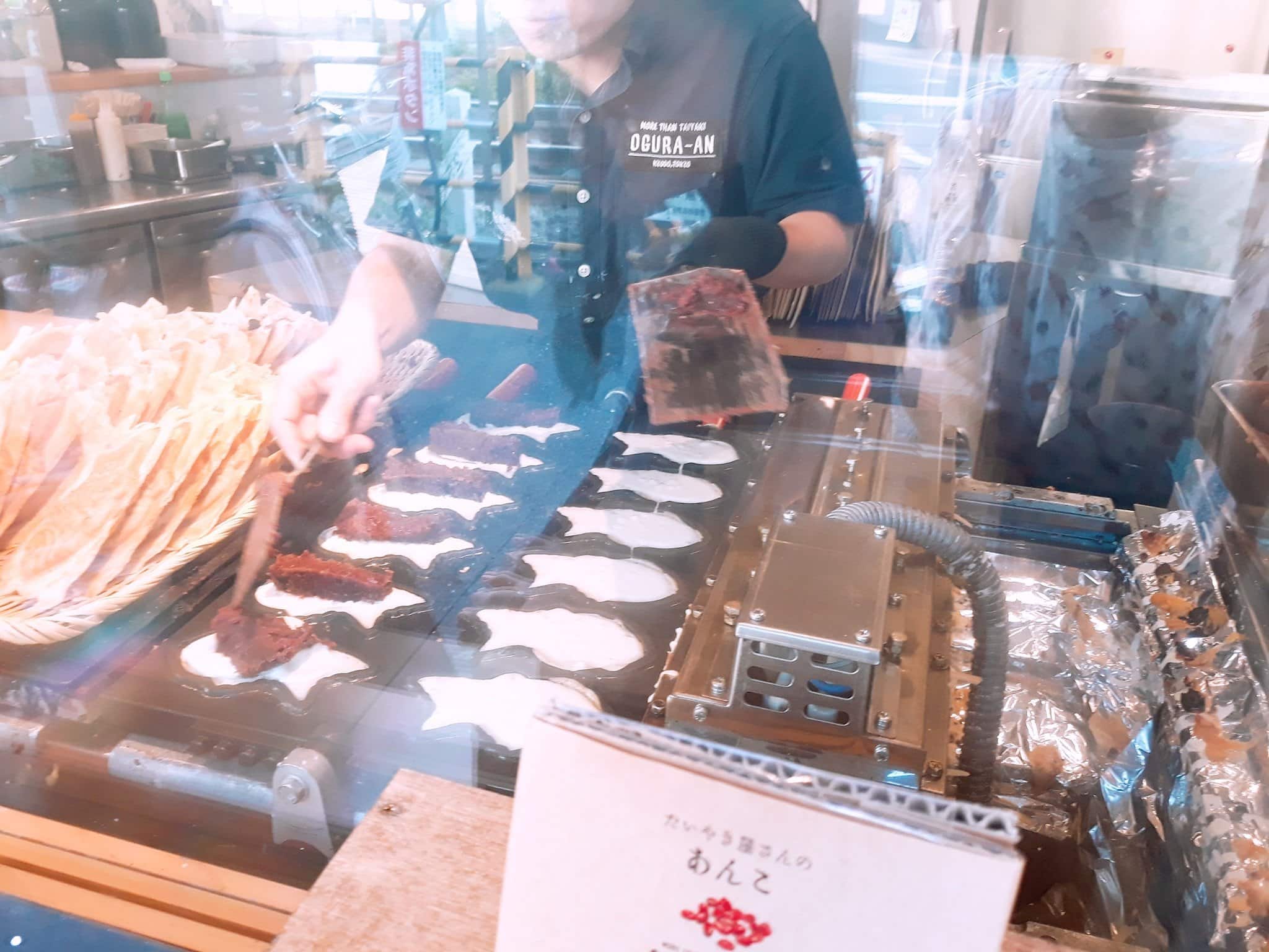 71473602_2261452447499955_1421130298002767872_o