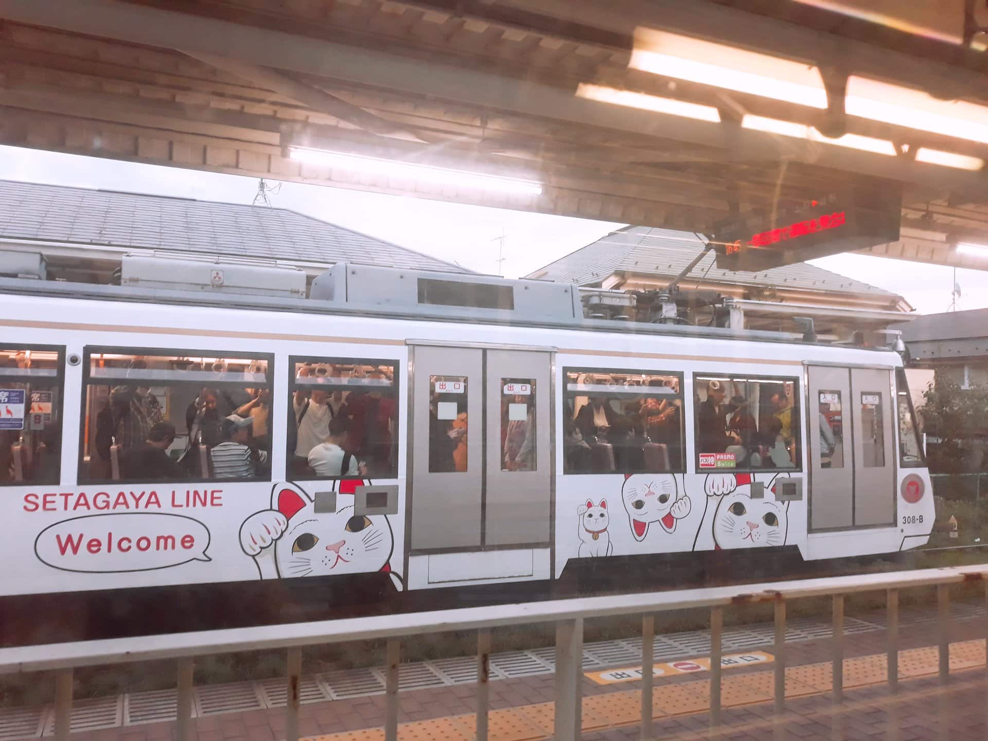 72481573_2313021532343046_3346381798257983488_o