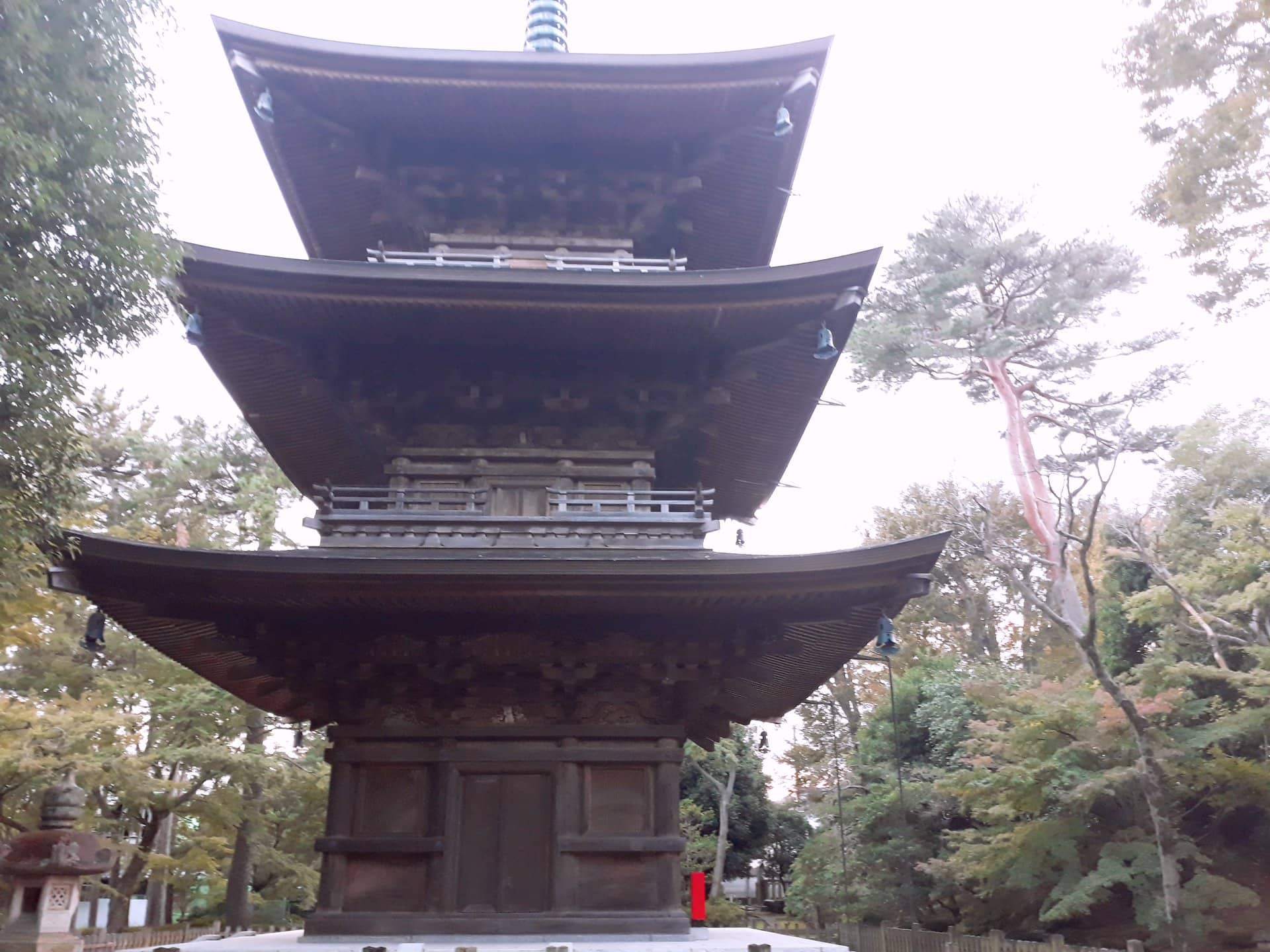 74841948_2313021885676344_4428444215155884032_o