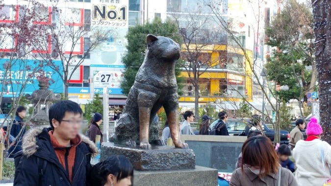 77407438_2324310321214167_8096443871891816448_n