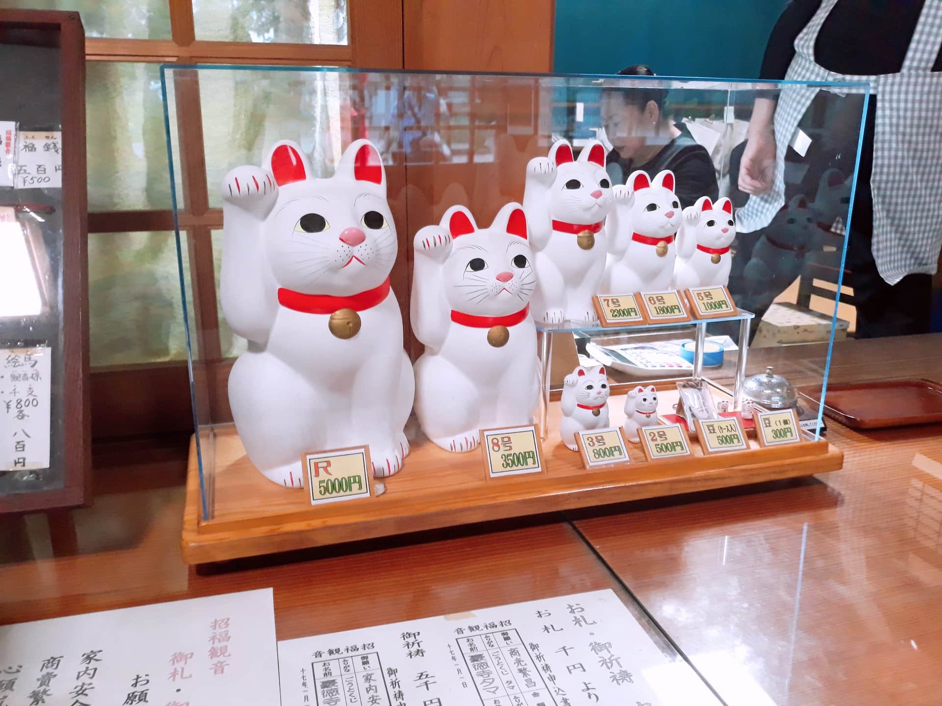 78348665_2313022372342962_7530276386670379008_o