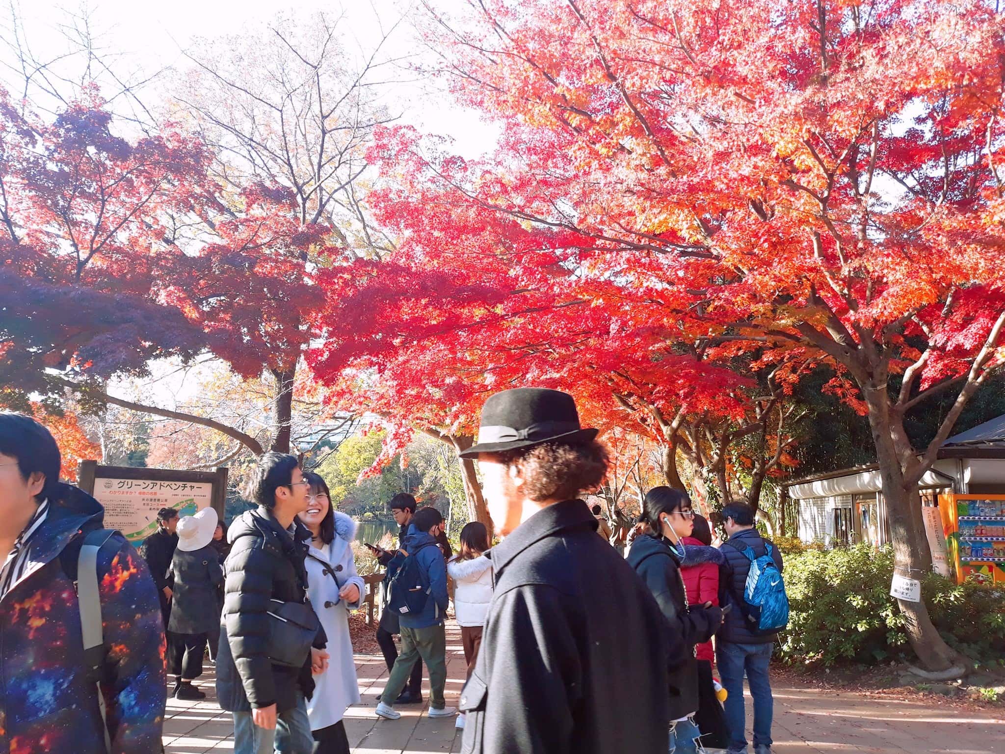 79094676_2336379723340560_5887105152866844672_o