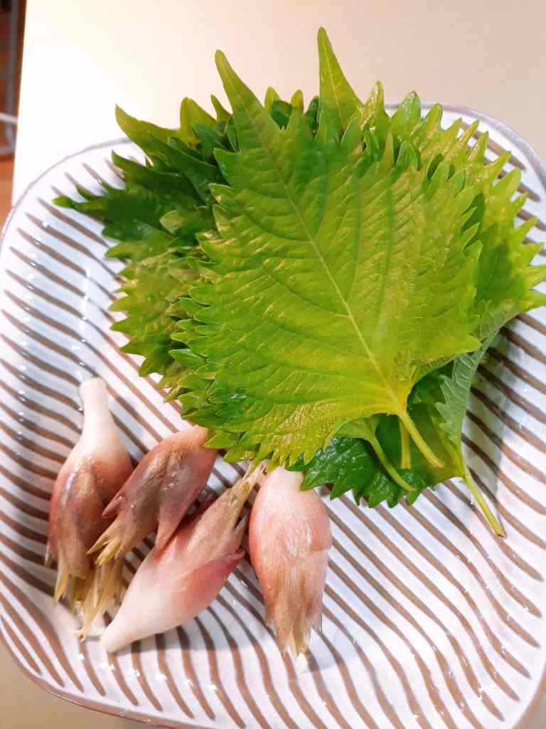shiso_food