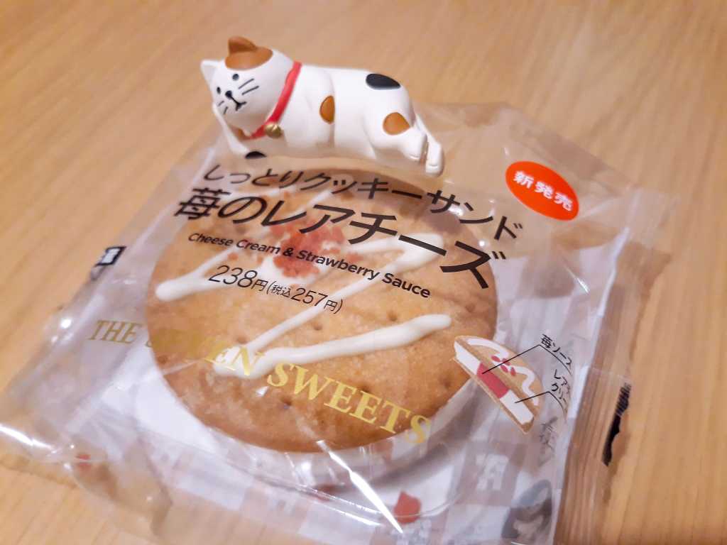 20210121_210217_957-2