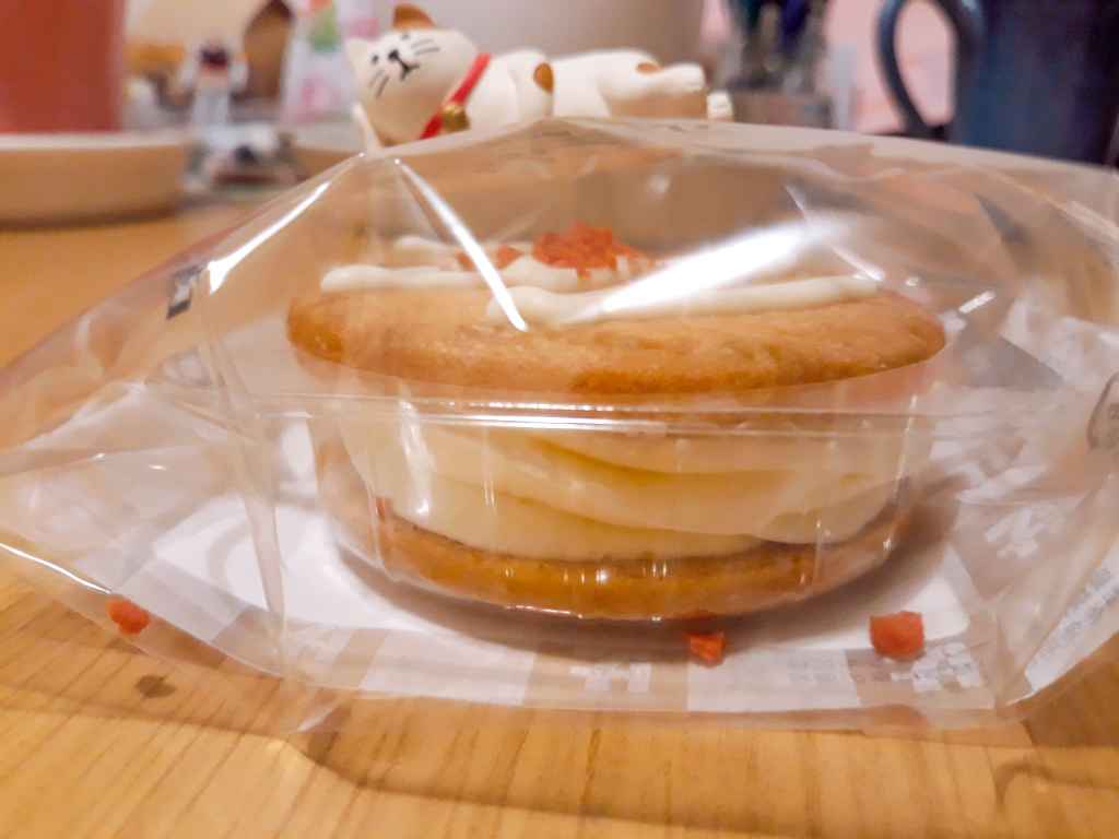 20210121_210242_067-2