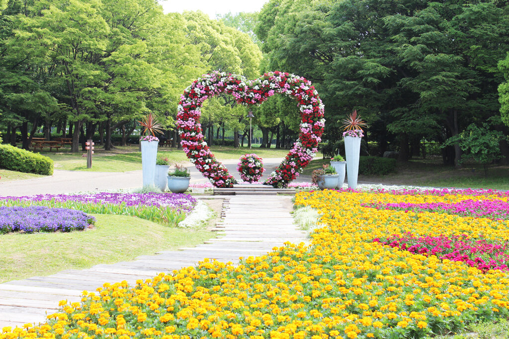 大阪長居植物園佔地24.2公頃的綠意空間，長居公園內的都會森林美景。2026 大阪長居植物園 繡球花