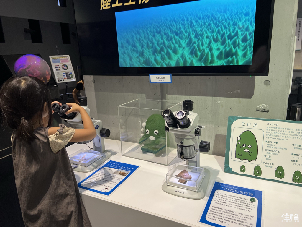 東京立川南極北極科學館，適合親子旅遊與雨天行程的免費博物館